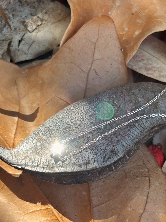 A close-up of a white gold chain necklace draped across a dark, textured leaf resting on a bed of dry brown leaves outdoors.